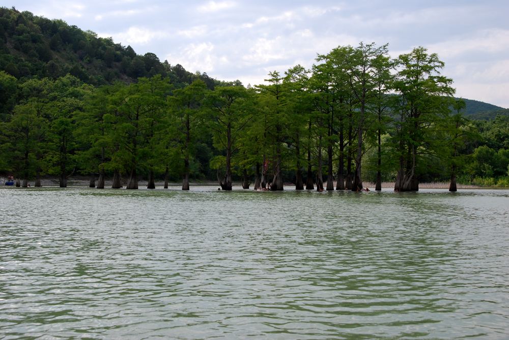 DSC_4821.jpg